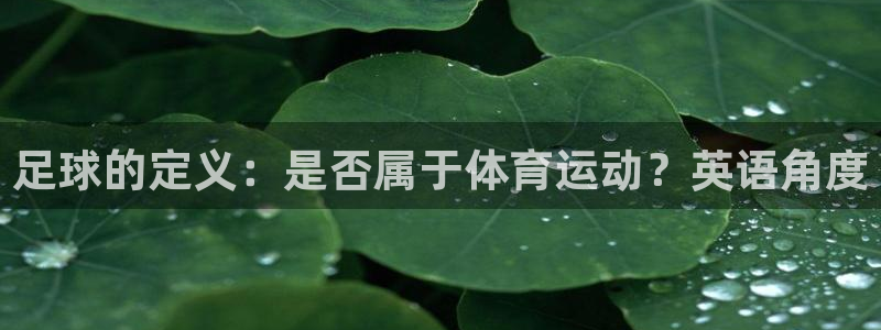 黑白体育斯诺克直播：足球的定义：是否属于体育运动？英语角度