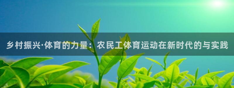 黑白体育iPhone下载：乡村振兴·体育的力量：农民工体育运动在新时代的与实践